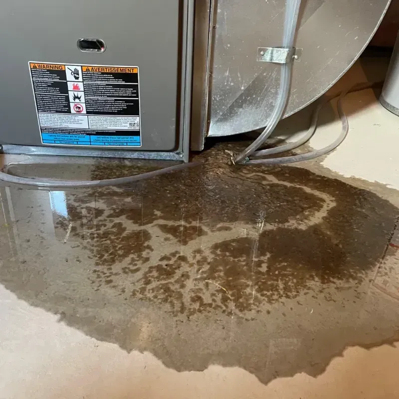 Appliance Leak Cleanup in Masonville, KY